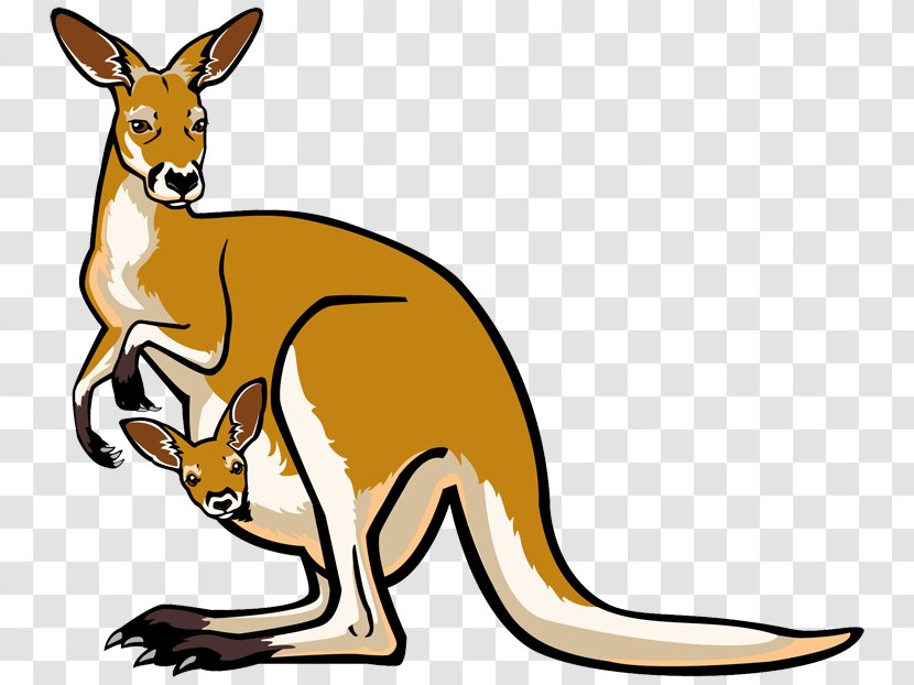 Joey Kangaroo Free Content Website Clip Art - Marsupial - Kangaroos Cliparts Transparent PNG