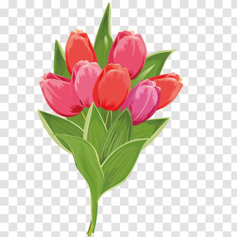 Tulip Stock Photography Pink Flower - Royaltyfree - Flowers Transparent PNG