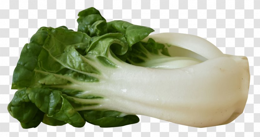 Vegetable Bok Choy Image Resolution - Display - Vegetables Transparent PNG