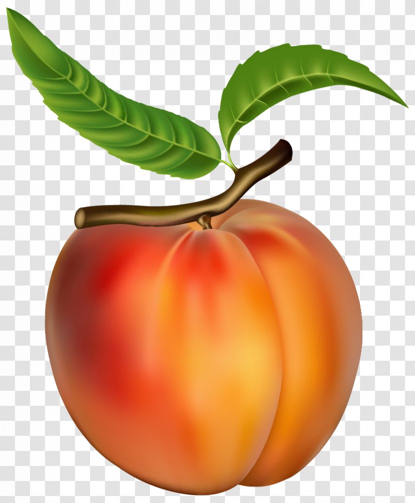 Peach Clip Art - Diet Food Transparent PNG