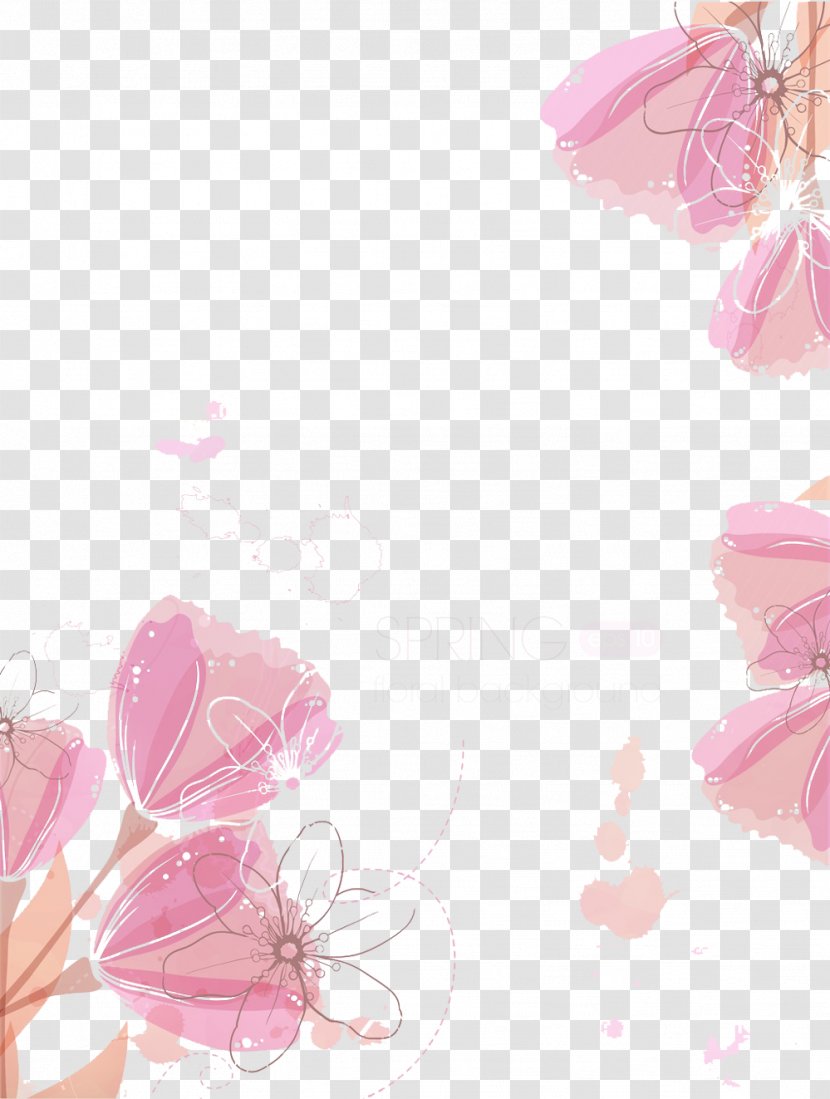 Tulip Pink - Flowers - Pale Picture Material Transparent PNG