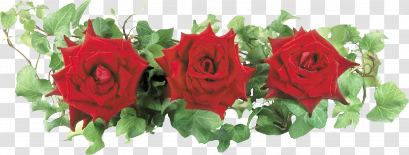 Flower Bouquet Clip Art - Floral Design - Plant Flowers Creative Celebration Transparent PNG