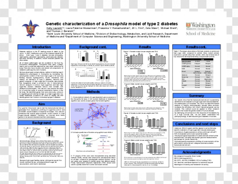 Common Fruit Fly Diabetes Mellitus Type 2 Genetics Diet-induced Obesity Model - Paper - Taobao Full-screen Poster Background Transparent PNG