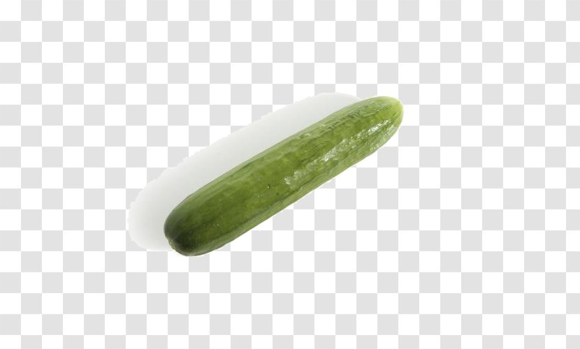 Pickled Cucumber Vegetable - Gourd Order - An Autumn Transparent PNG