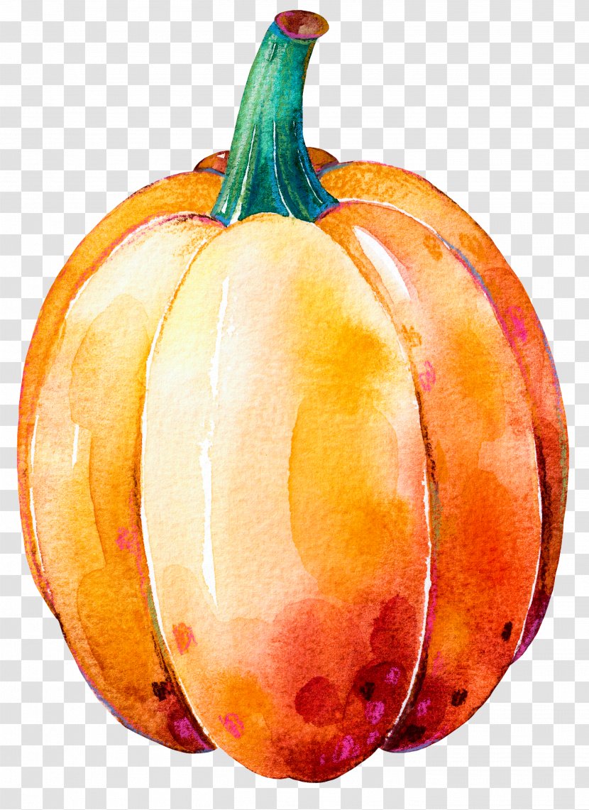Pumpkin Calabaza Gourd Winter Squash Thanksgiving Dinner - Food - Painted Transparent PNG