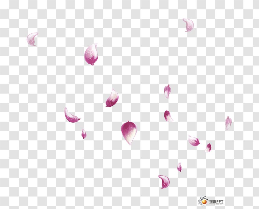 Image Desktop Wallpaper Drawing Photography - Violet Transparent PNG