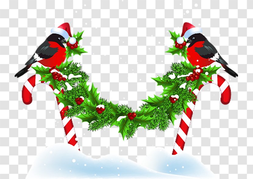 Christmas Ornament Bird New Year Kerstkrans - Aquifoliaceae Transparent PNG