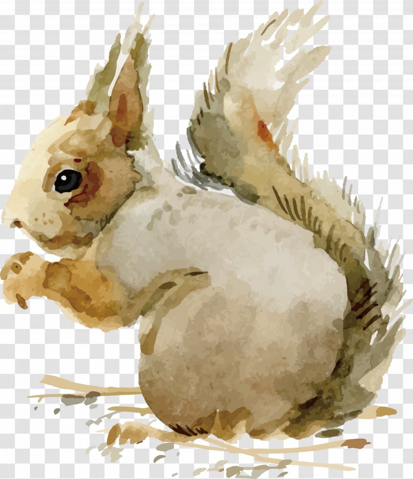 Domestic Rabbit Adobe Illustrator - Cdr - Watercolor Bunny Transparent PNG