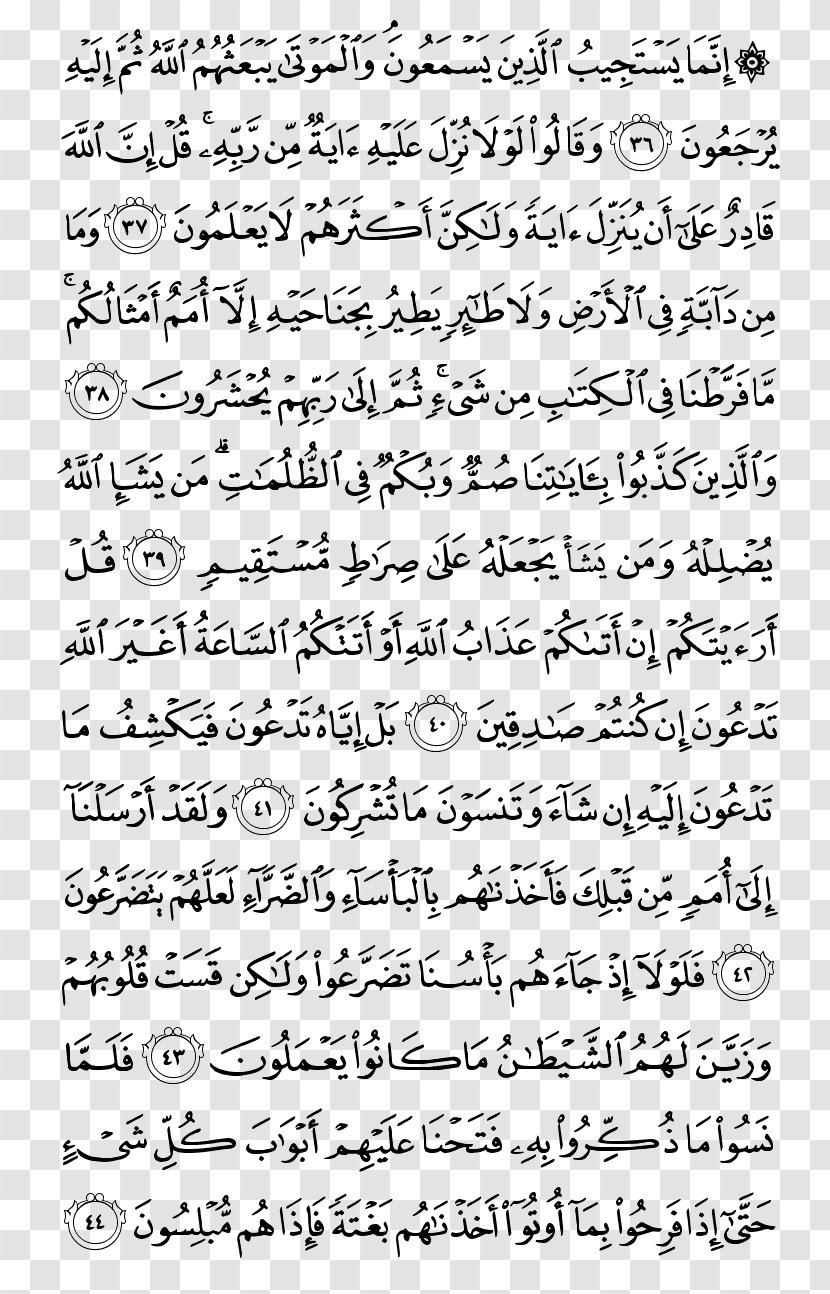 Quran Surah Al-Baqara Juz' Al-A'raf - Tree - Kareem Transparent PNG