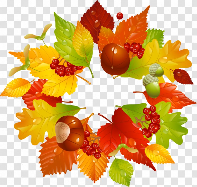 Autumn Clip Art - Leaf Color Transparent PNG