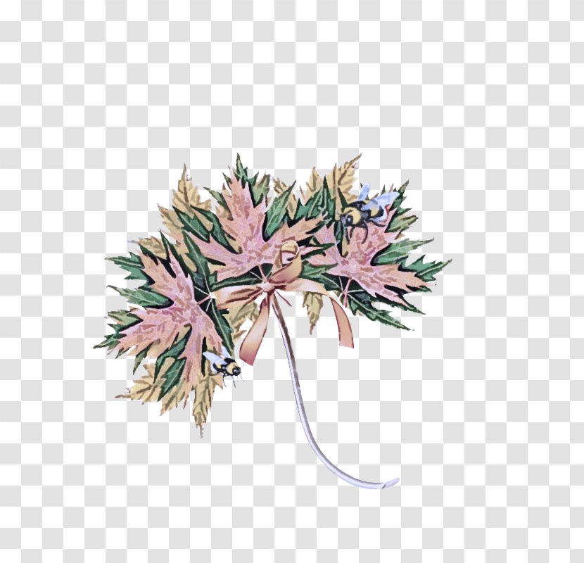 Leaf Tree Plant Flower Pink - Pine Family Transparent PNG