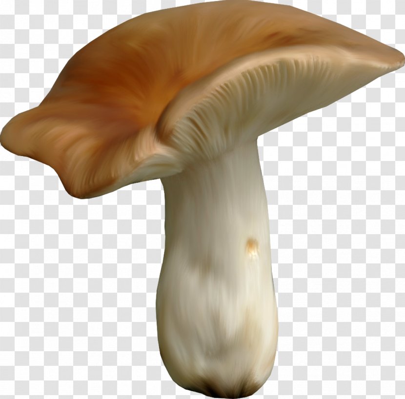 Clip Art - Coreldraw - Vegetable Icon Picture Material,mushroom Transparent PNG