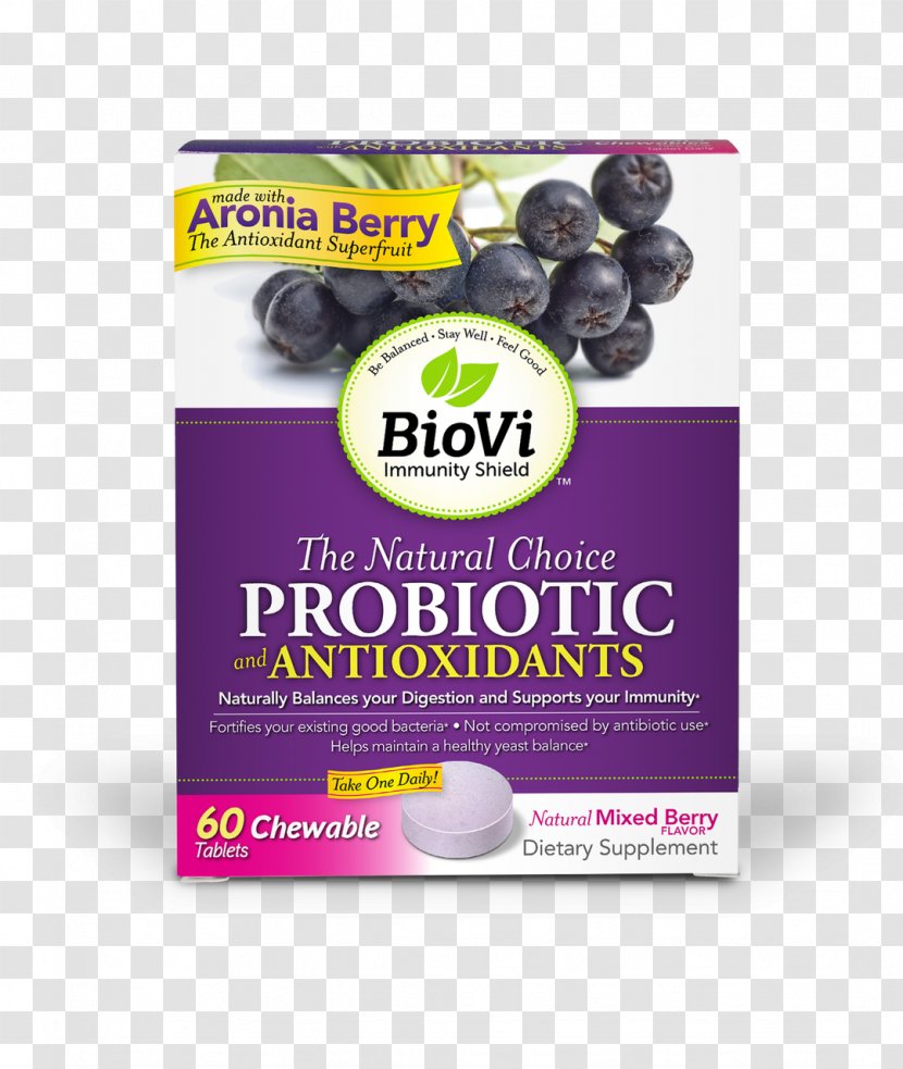 Probiotic Dietary Supplement Antioxidant Bacillus Coagulans Tablet - Gastrointestinal Tract Transparent PNG