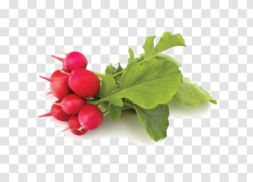 Food Vegetable Raphanus Raphanistrum Subsp. Sativus Turnip Cranberry Transparent PNG