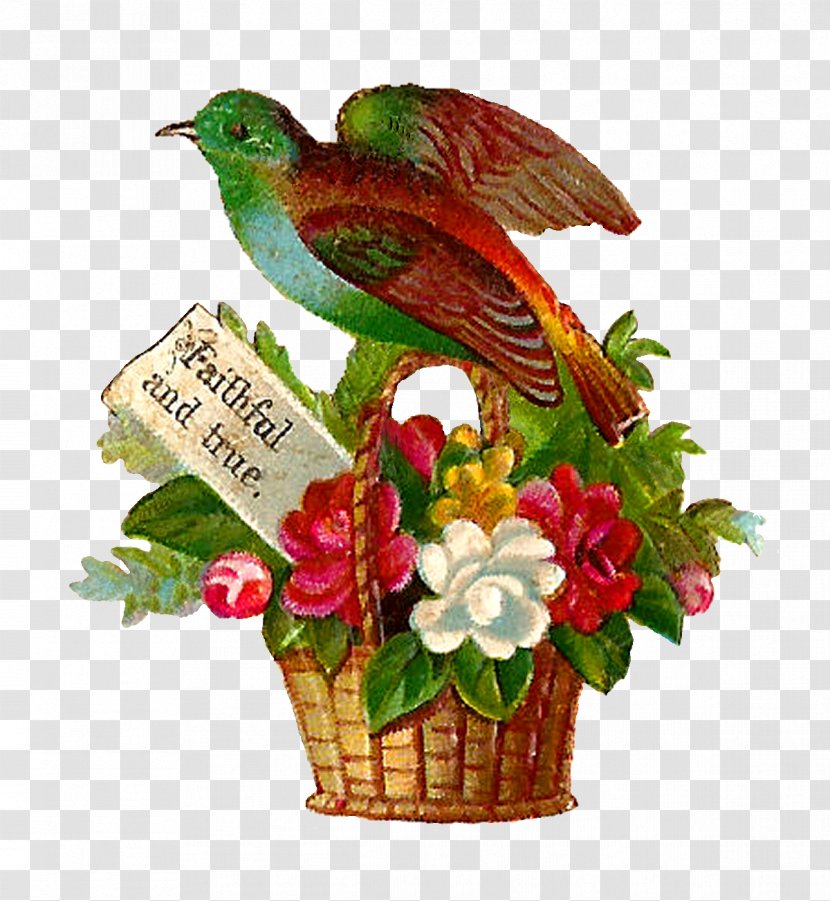 Flower Floral Design Gift - Bird Transparent PNG
