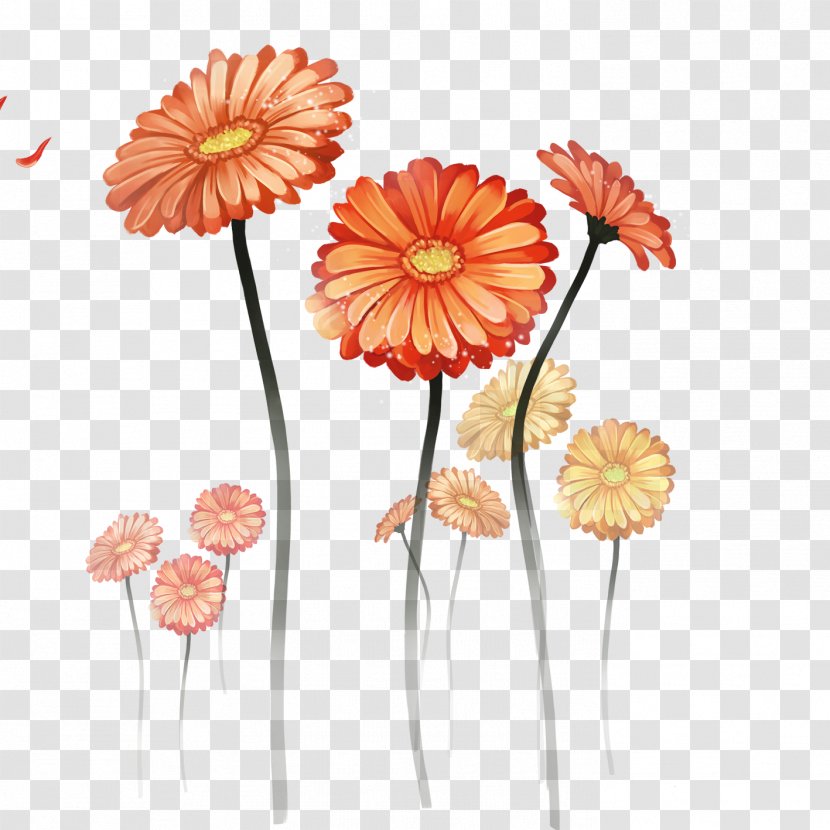 Download Tablet Computer Wallpaper - Plant - Chrysanthemum Transparent PNG