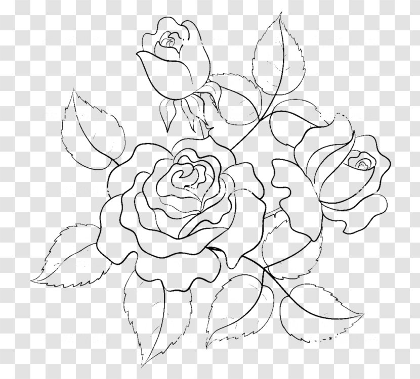 Rose Flower Drawing Illustration - Garden Roses - Hand-painted Line Transparent PNG