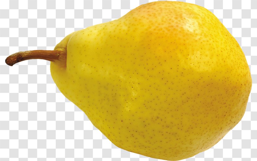 Clip Art Computer File Pear Format - Citric Acid Transparent PNG