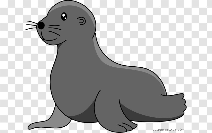 Baby Sea Lion Clip Art Swims - Walrus Transparent PNG