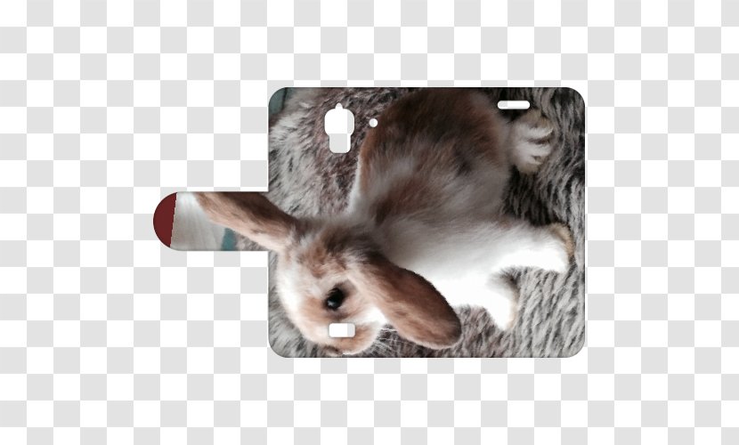 Domestic Rabbit Huawei Y5 Telefoonhoesje Met Bedrijfslogo & Tekst Ontwerpen Y360 Hare Smartphone - Album Cover Transparent PNG