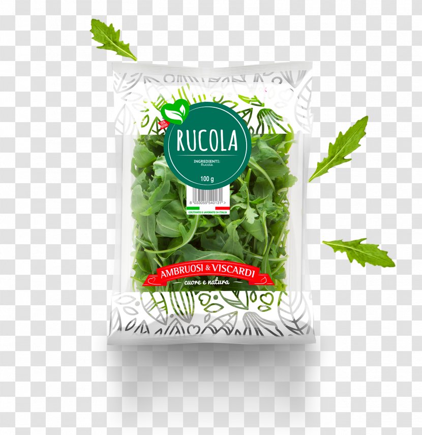 Leaf Vegetable Arugula Herb Salad - Herbalism Transparent PNG