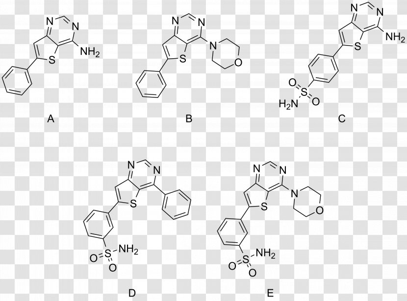 Buchwald–Hartwig Amination Ligand Phosphine XPhos Sonogashira Coupling - Malaria Transparent PNG