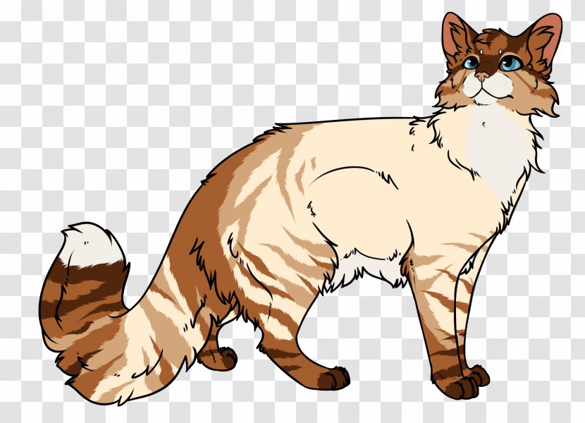 Whiskers Kitten Red Fox Wildcat Dog - Animal Transparent PNG