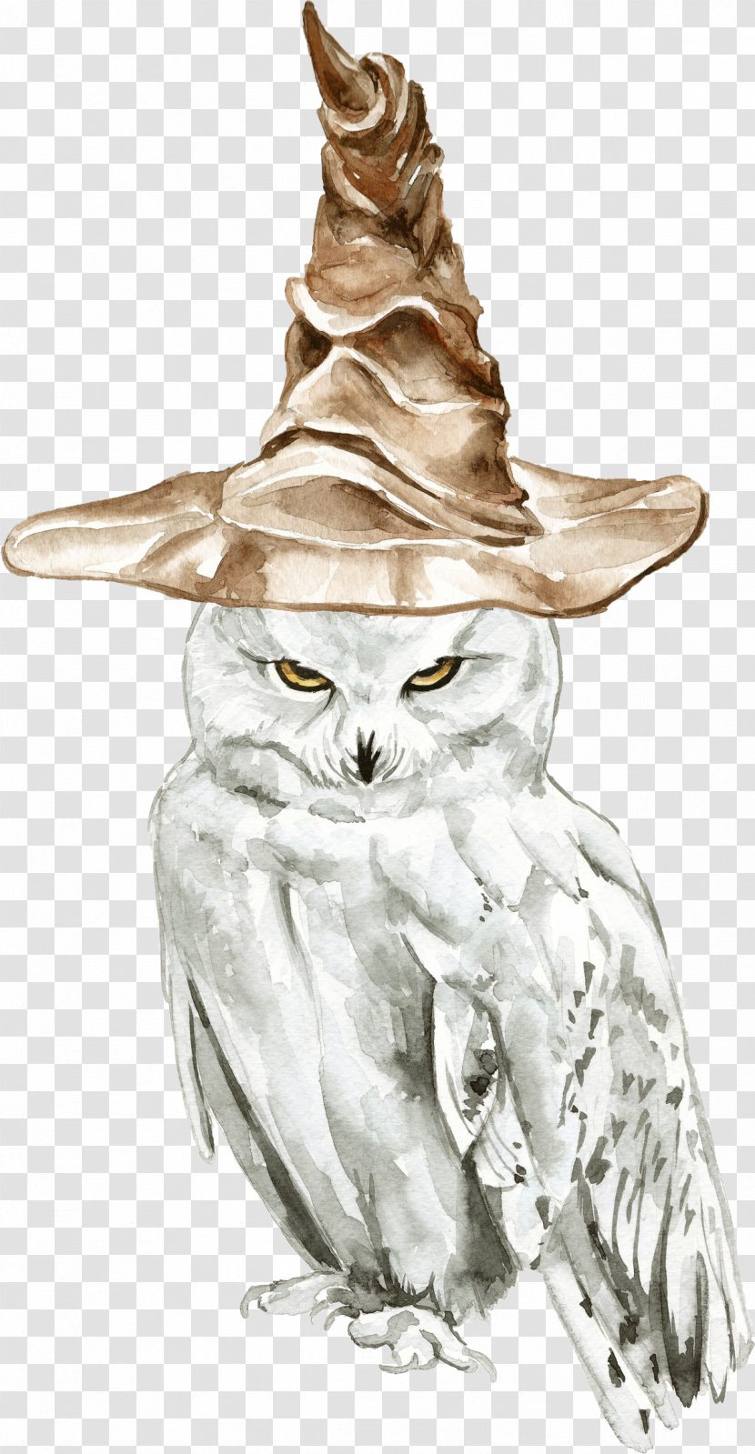 Owl Drawing Illustration Harry Potter Sketch - Cockatiel - Books Transparent PNG