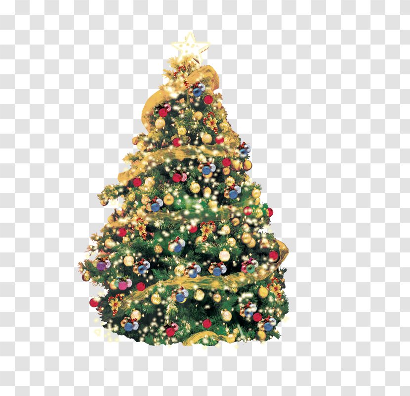 Artificial Christmas Tree Greeting Card - Spruce - Behind Transparent PNG