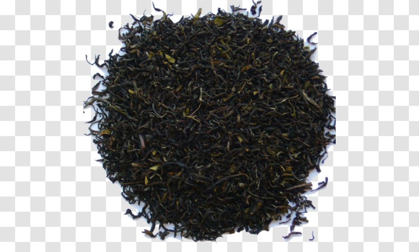 Nilgiri Tea Oolong Dianhong Earl Grey Transparent PNG