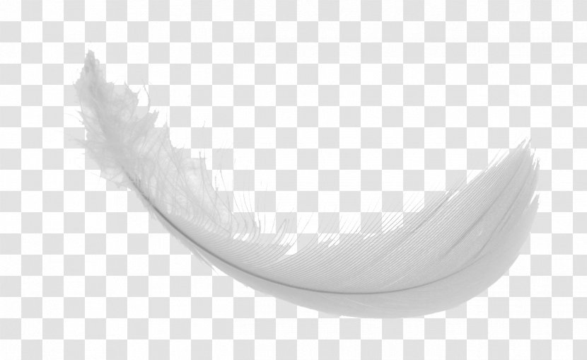 White Feather Pikmin Fandom Wiki - Jessica Jones Season 2 Transparent PNG