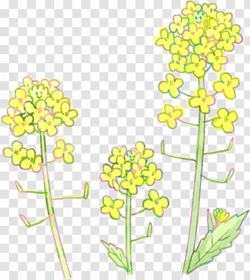 Floral Design Book Illustration Clip Art - Symmetry Transparent PNG