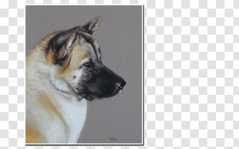 Dog Breed Akita Snout - Carnivoran - Labrador Watercolor Transparent PNG