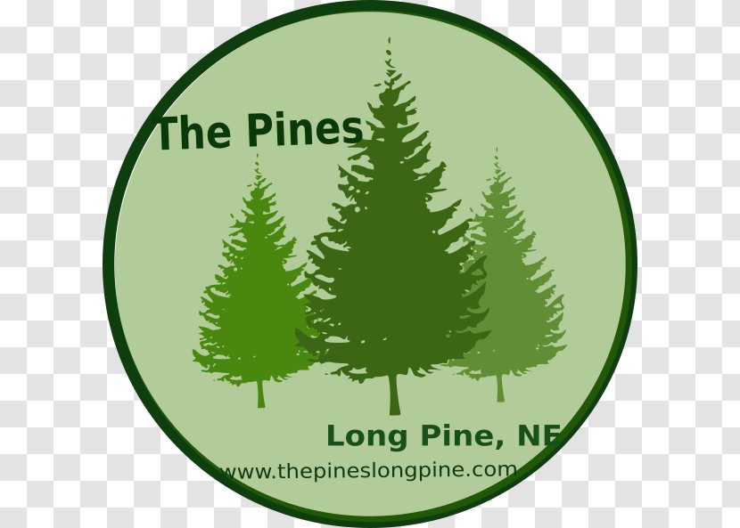 Pine Fir Clip Art Evergreen Conifers - Christmas - Green Olive Tree Garden Transparent PNG