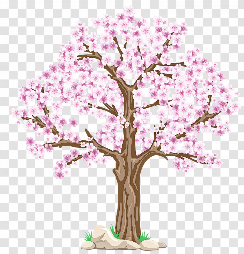 Cherry Blossom Transparent PNG