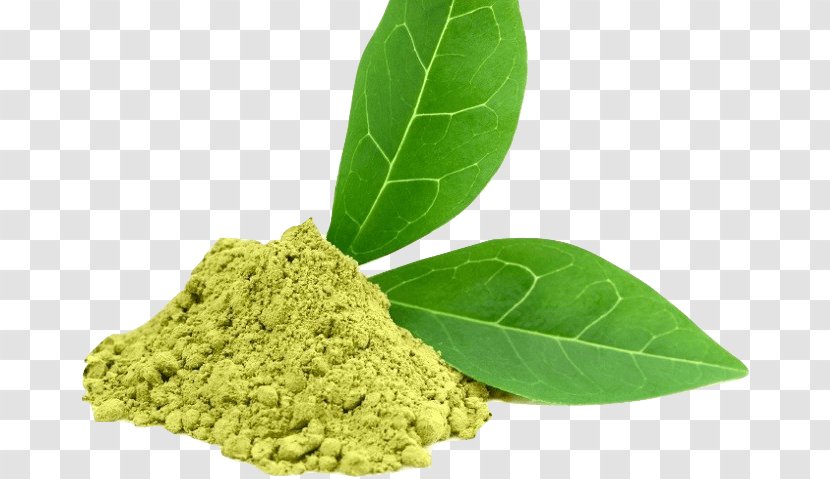 Green Tea Dietary Supplement Epigallocatechin Gallate Extract - Antioxidant Transparent PNG