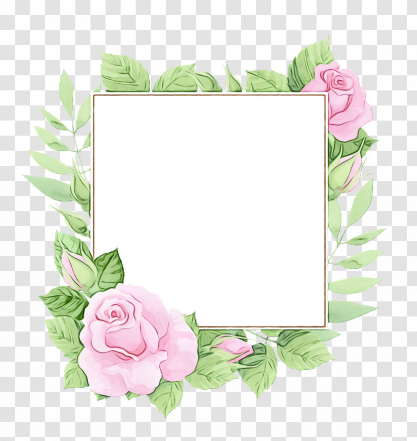 Floral Design Transparent PNG