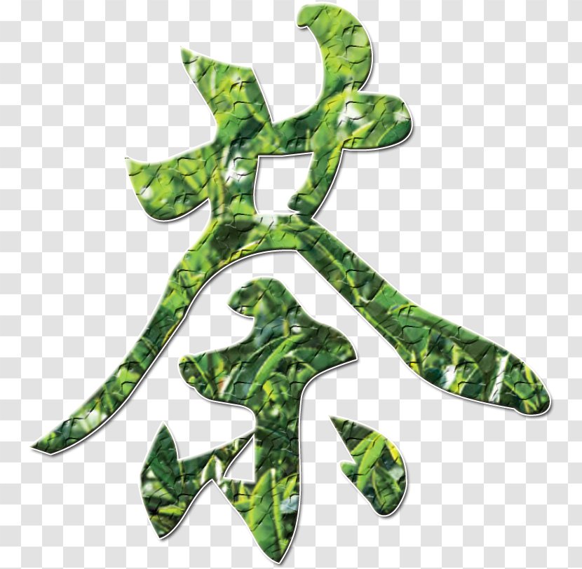 Xinyang Maojian Tea Kuding Green Chinese - Black Transparent PNG