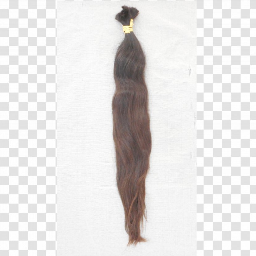 Homo Sapiens Wig - Long Hair - Cn Transparent PNG