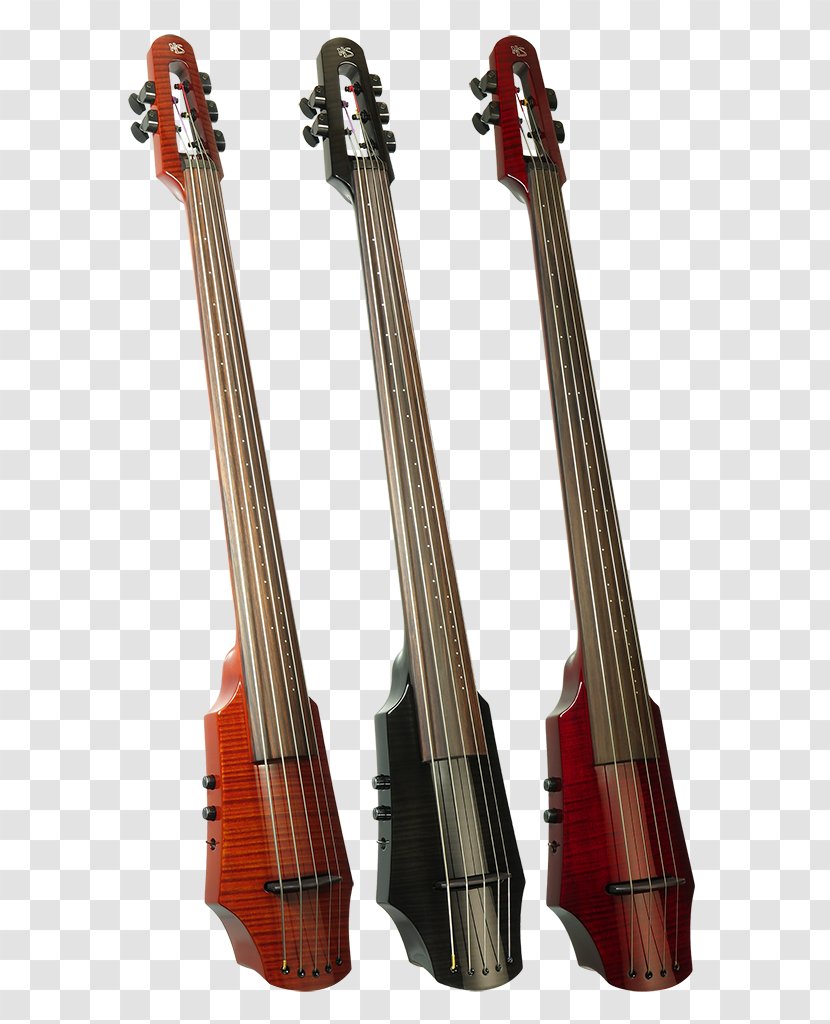 Violone Cello Violin Double Bass Viola - Electric Transparent PNG