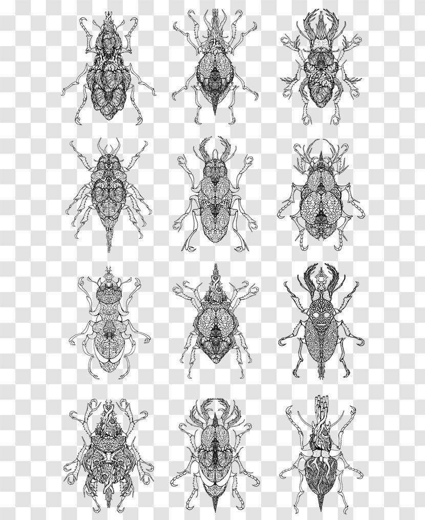 Insect Print Design Package Inspiration Pattern - Membrane Transparent PNG