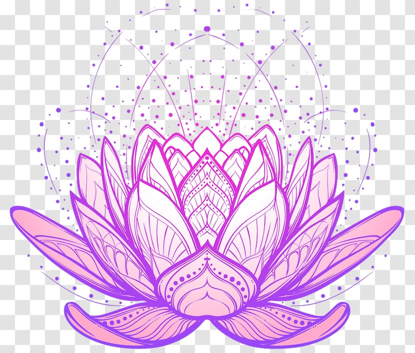 Drawing Nelumbo Nucifera Royalty-free - Pollinator - Design Transparent PNG