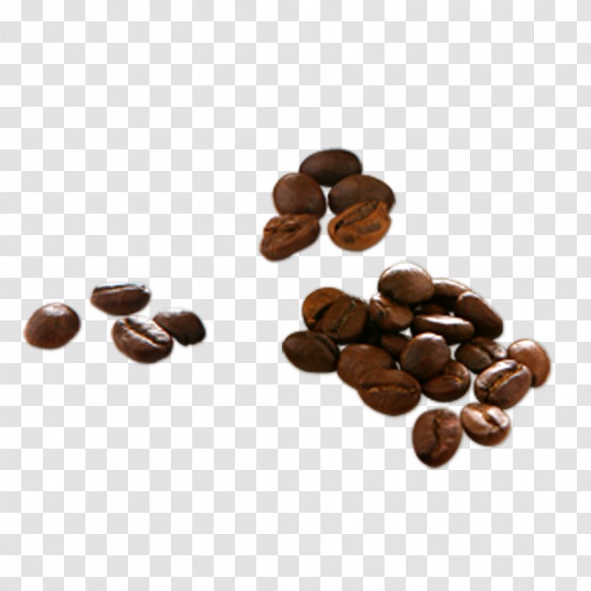 Jamaican Blue Mountain Coffee Cafe Bean - Legume - Creative Beans Transparent PNG