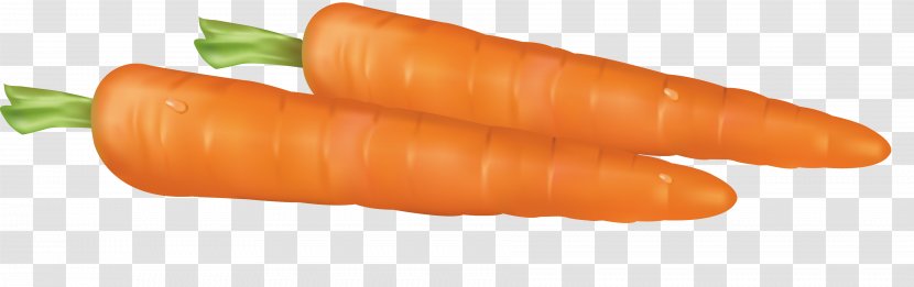 Baby Carrot Bockwurst Knackwurst - Natural Foods - Vector Transparent PNG