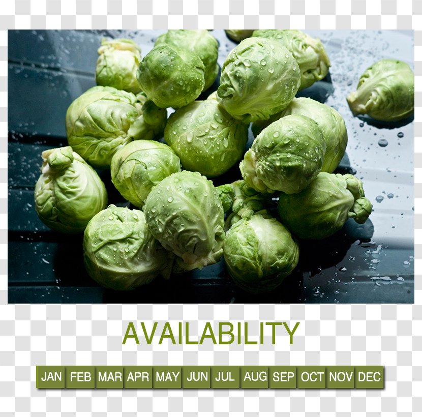 Brussels Sprout Capitata Group Food Vegetable Cauliflower - Variety Transparent PNG