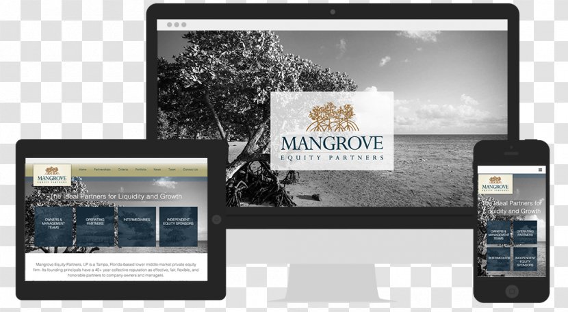 Mangrove Information Poster - Display Advertising Transparent PNG