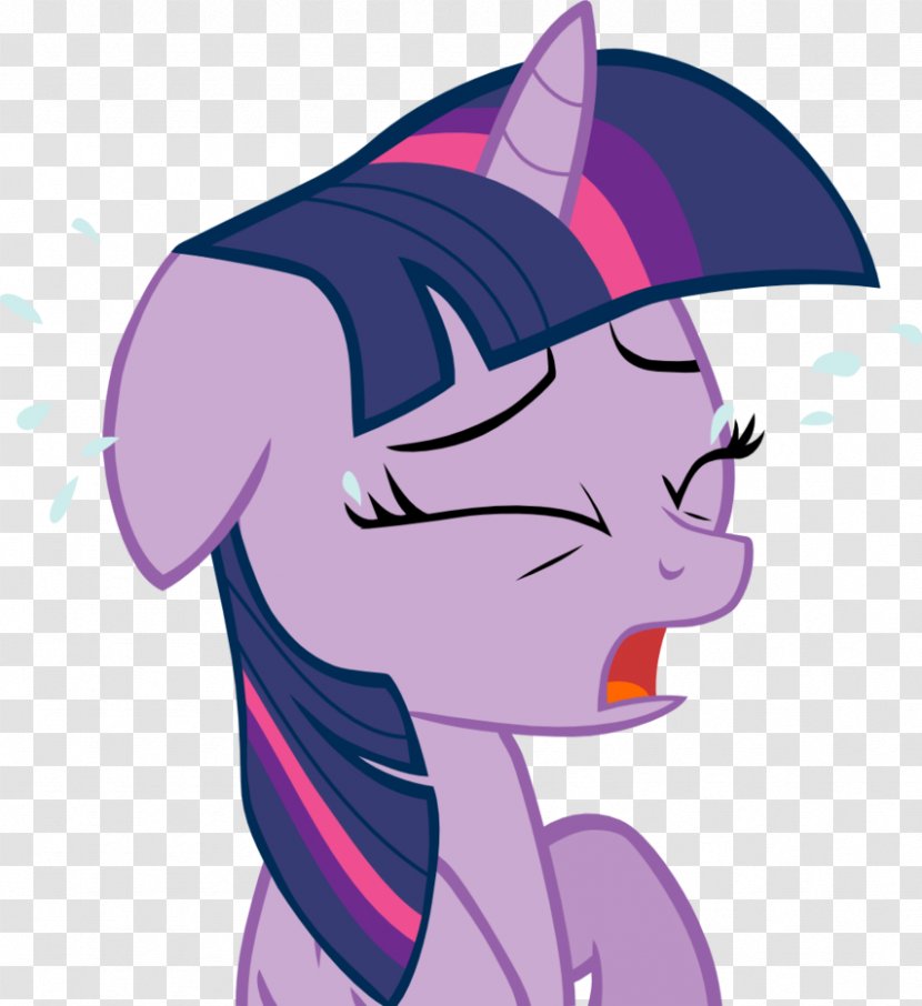 Twilight Sparkle Pinkie Pie Rarity Applejack Rainbow Dash - Tree - Tears Transparent PNG