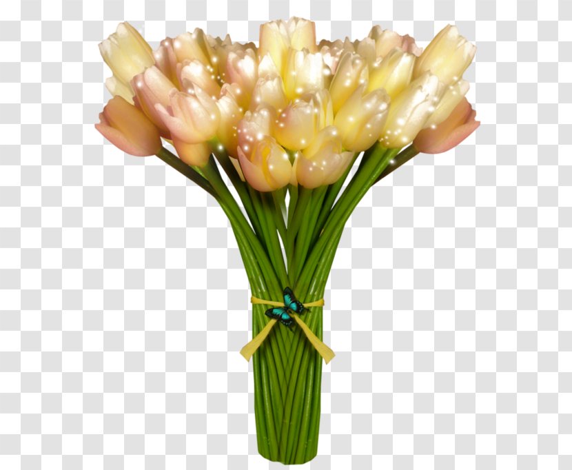 Floral Design Tulip Cut Flowers Flower Bouquet - Photography Transparent PNG