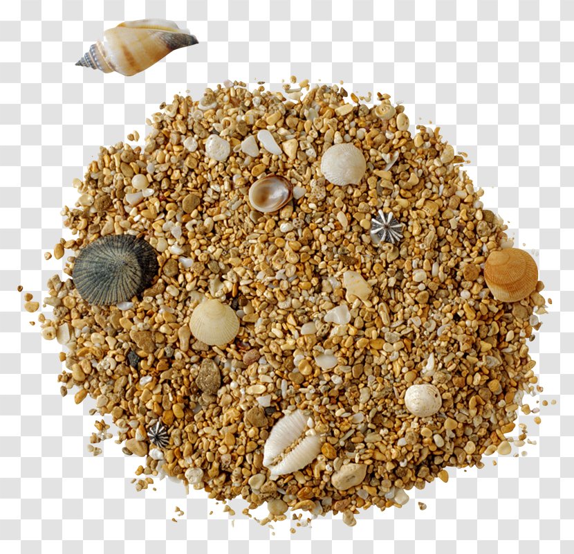 Bird Food Oat Bran Cuisine Dish - Supply - Cereal Transparent PNG