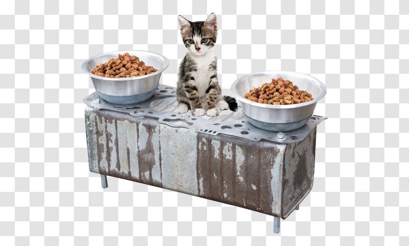 Cat Head Gasket Cylinder Dog - Meat - Luxury Dish Transparent PNG